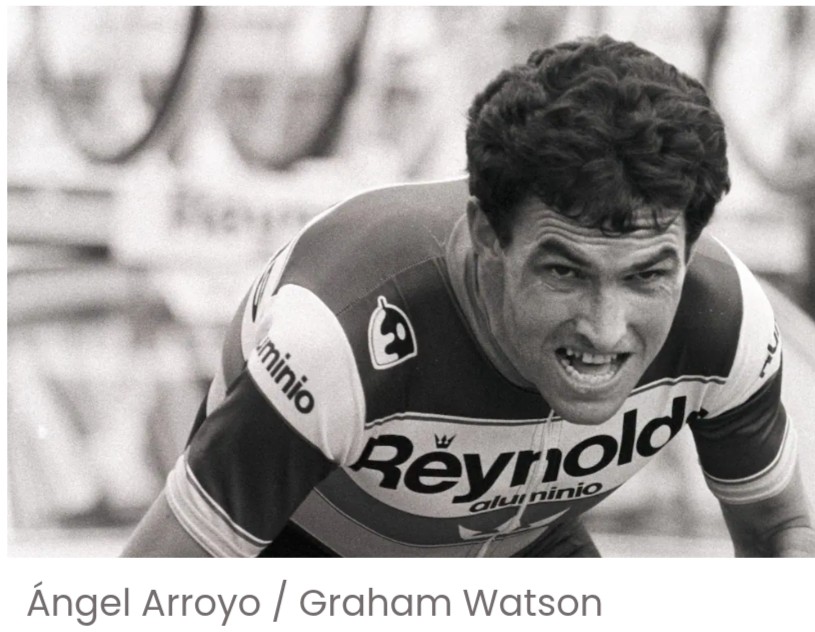 Ha muerto &Aacute;ngel Arroyo